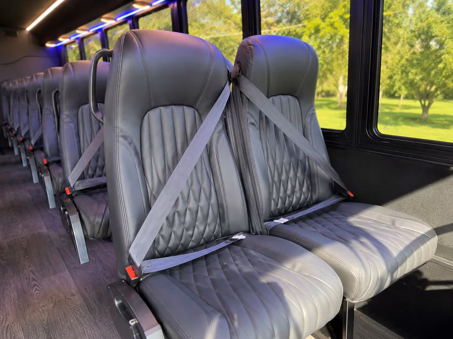 minibus and charter bus rentals for trips to the sacramento zoo and fairytale town